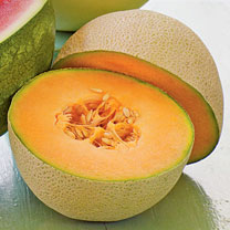 Muskmelon