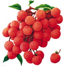 Lichi