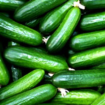 Cuccumber